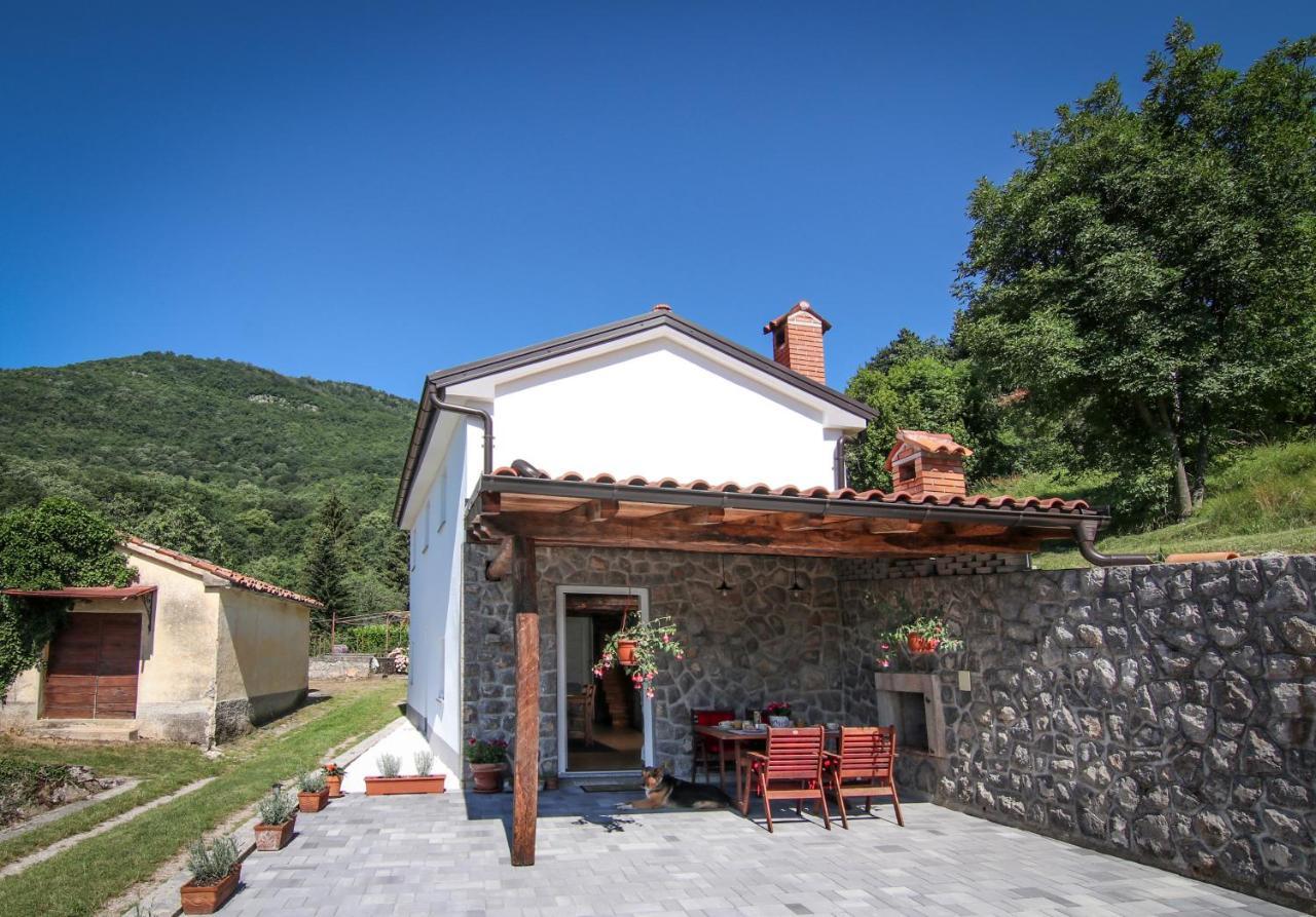 Guest House 'Villa Fani' Veprinac With Jacuzzi Zewnętrze zdjęcie