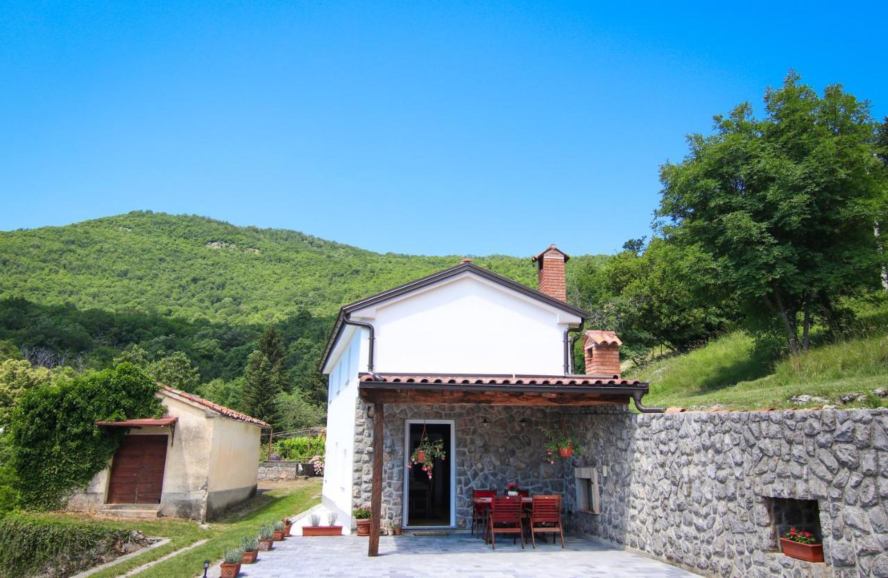 Guest House 'Villa Fani' Veprinac With Jacuzzi Zewnętrze zdjęcie